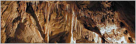 Jaskinia Niedżwiedzia